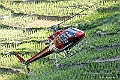 web2_DSC0967